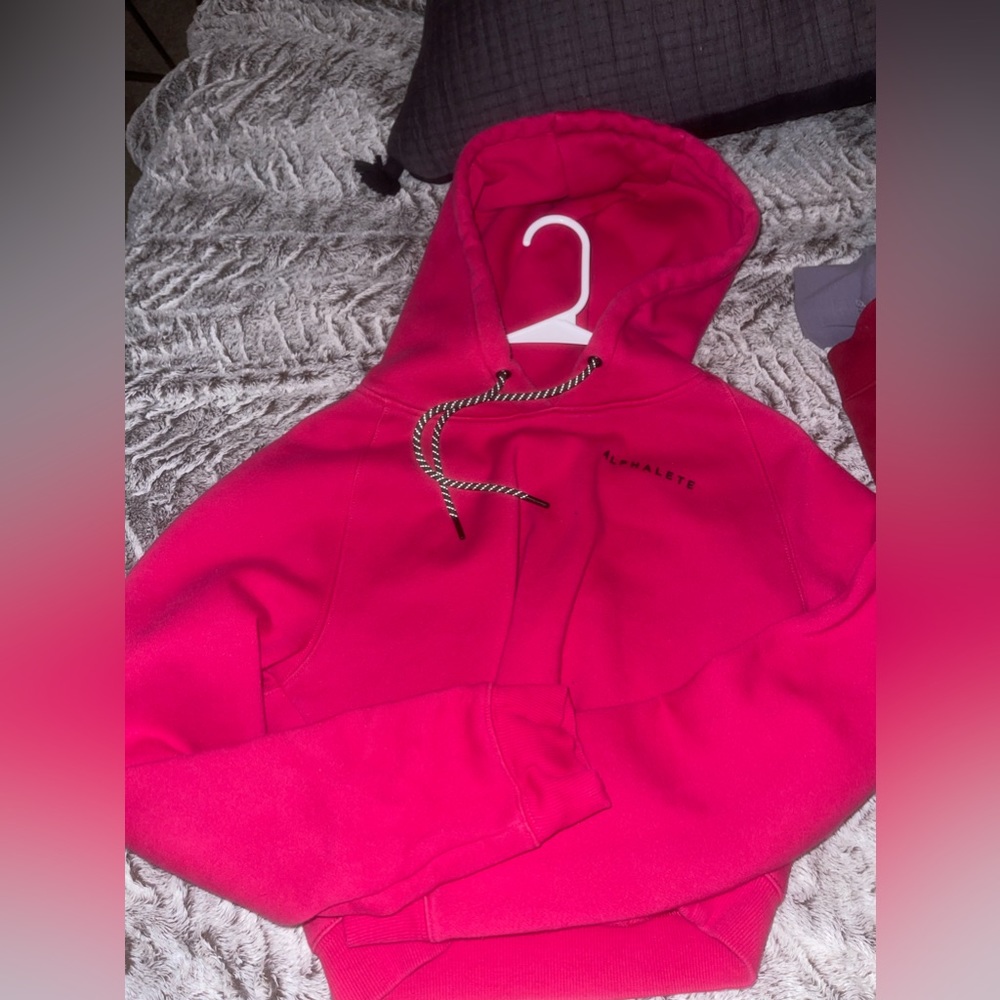 Alphalete crop hoodie